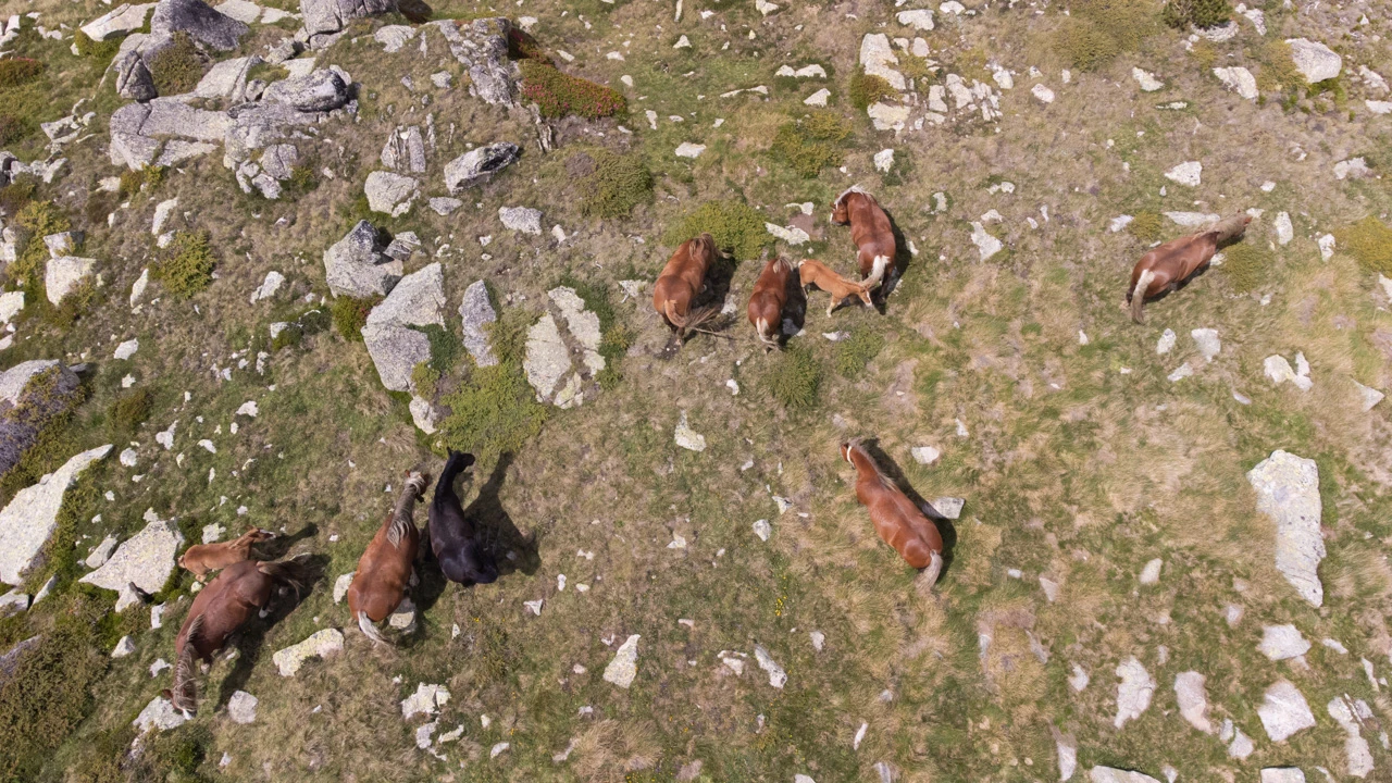 Germanpalomeque Dronephotography 16 