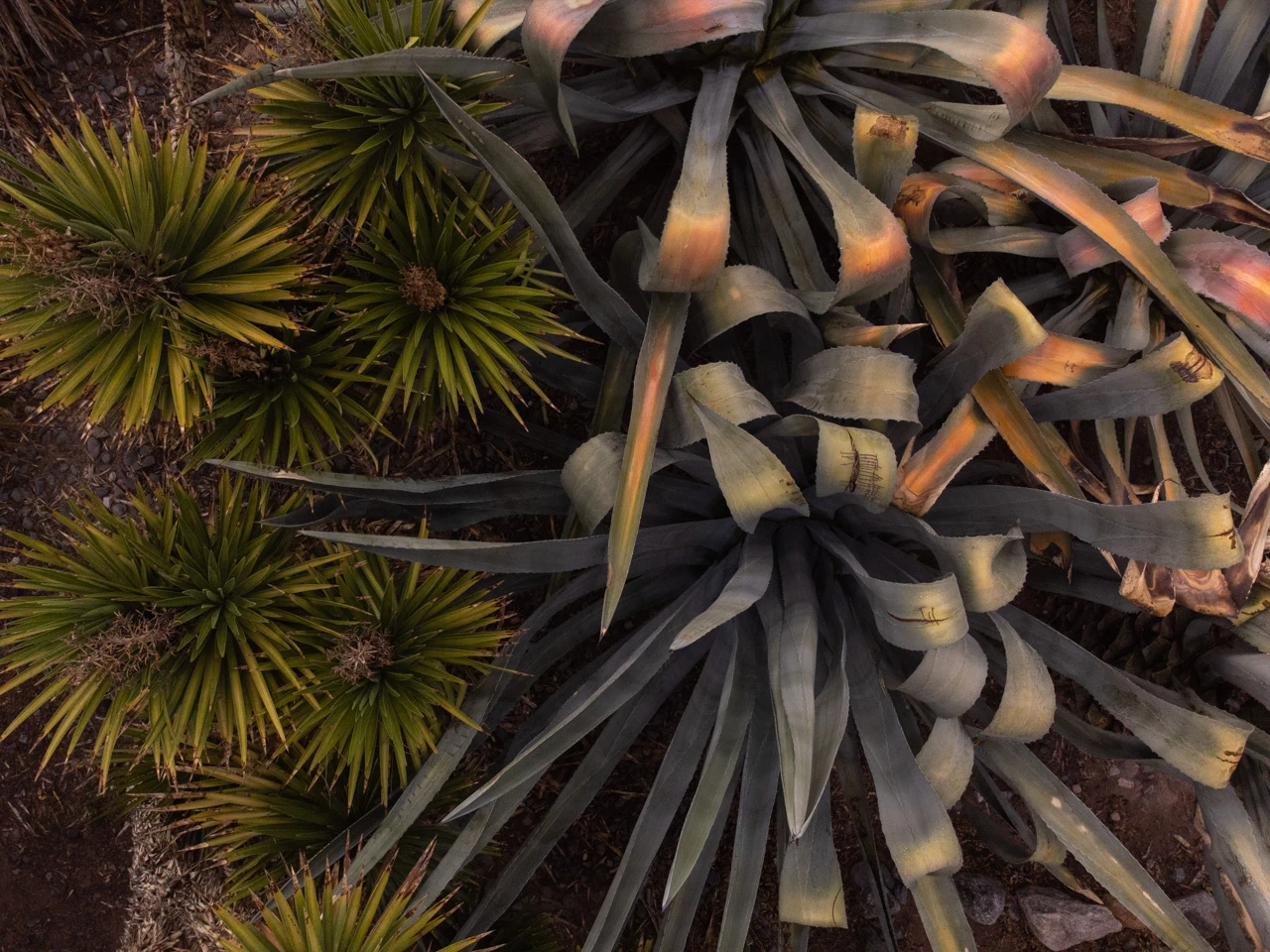 Germanpalomeque Dronephotography 6 